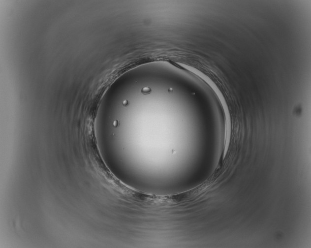 X0000110930621200906251335