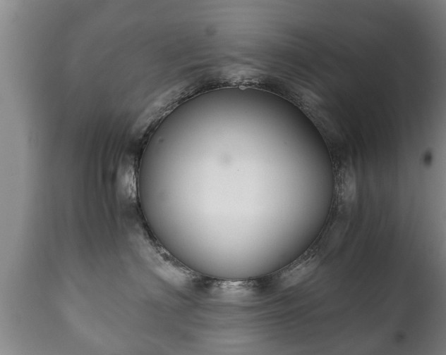 X0000110930622200906251335