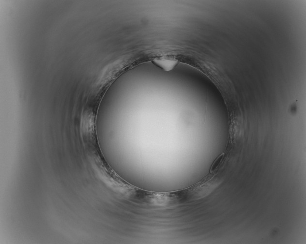 X0000110930623200906251335
