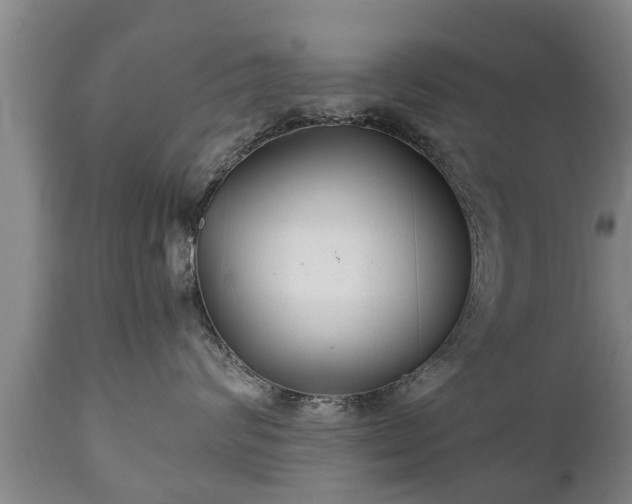 X0000110930624200906251335