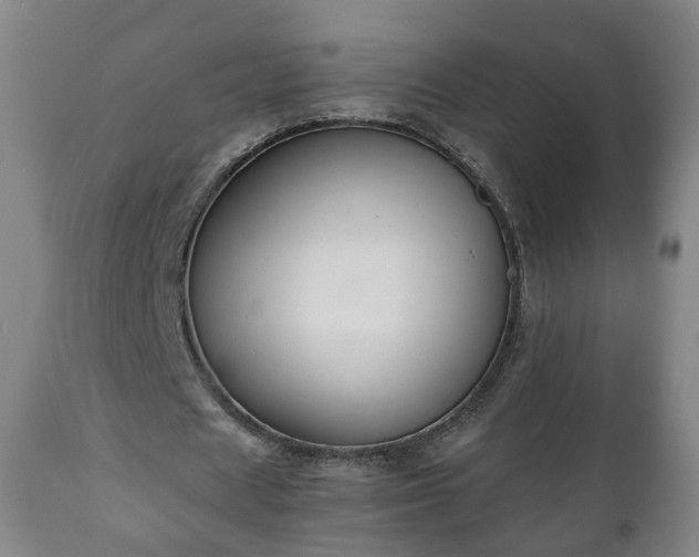 X0000110930625200906251334