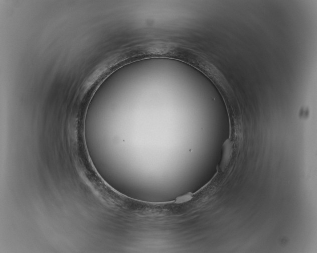X0000110930626200906251334