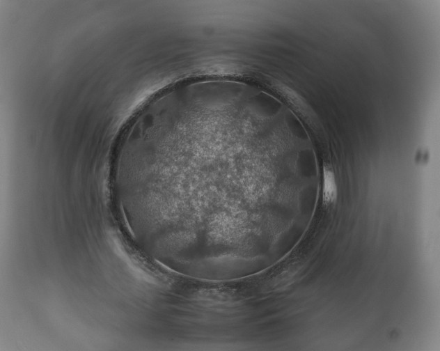 X0000110930627200906251334