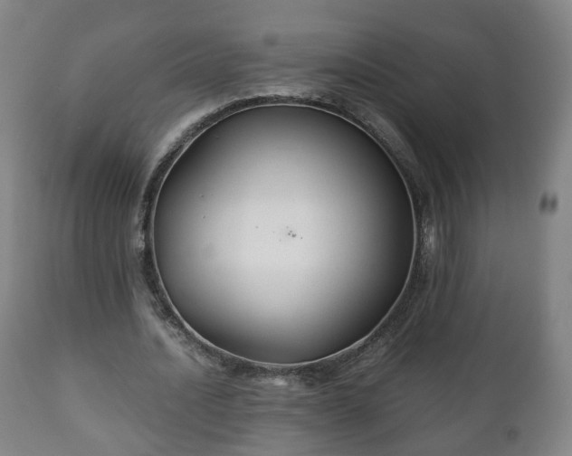 X0000110930628200906251334