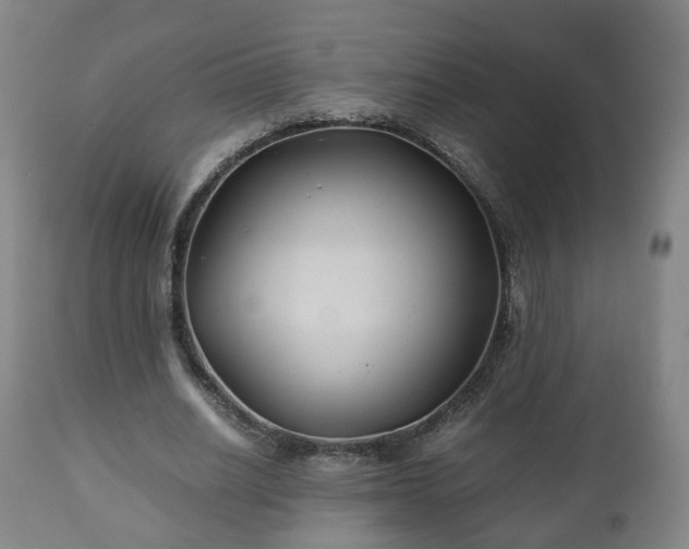 X0000110930630200906251334