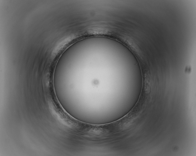 X0000110930631200906251334