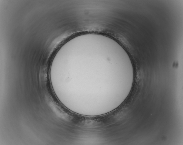X0000110930632200906251334