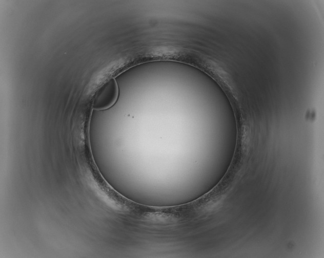 X0000110930633200906251334
