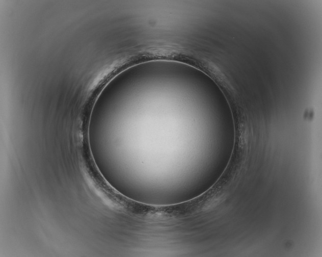 X0000110930634200906251334