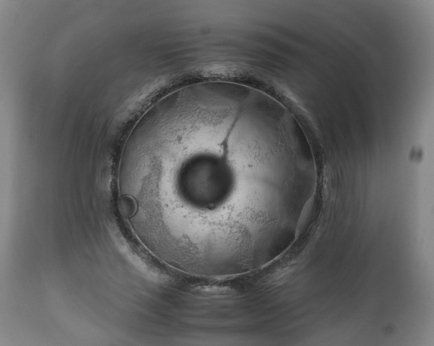 X0000110930637200906251334