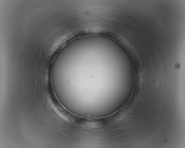 X0000110930638200906251334