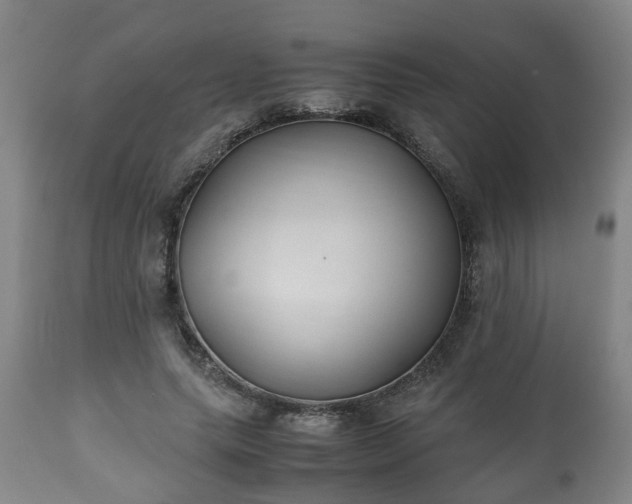 X0000110930639200906251334