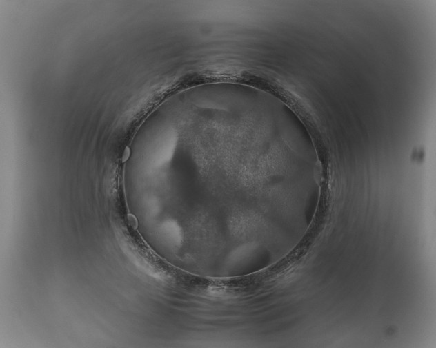 X0000110930641200906251334