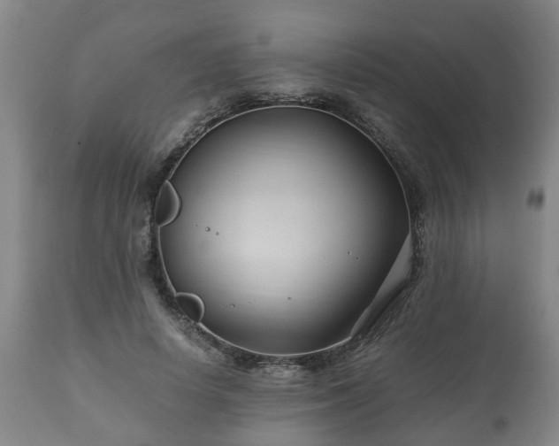 X0000110930642200906251334
