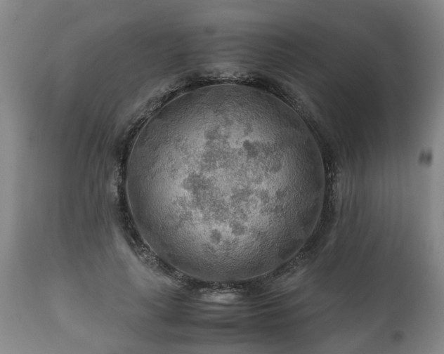 X0000110930643200906251334
