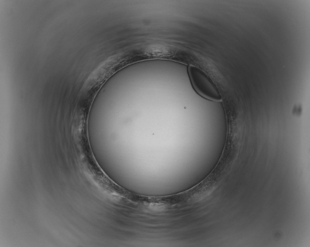 X0000110930645200906251334