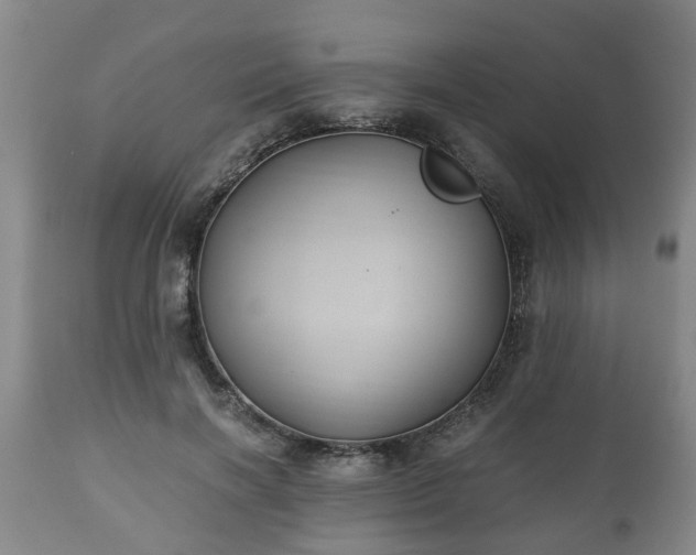 X0000110930646200906251334