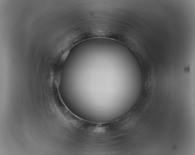 X0000110930647200906251334
