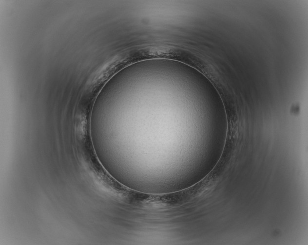X0000110930648200906251334