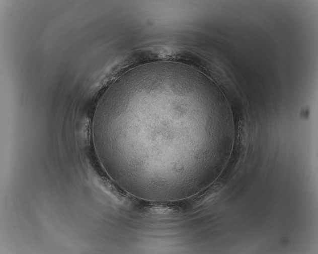 X0000110930650200906251334