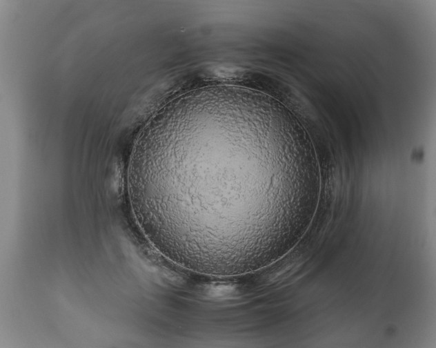 X0000110930651200906251334