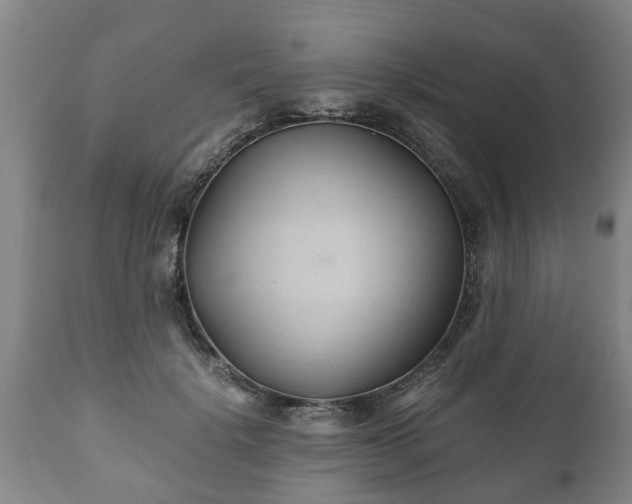 X0000110930652200906251334