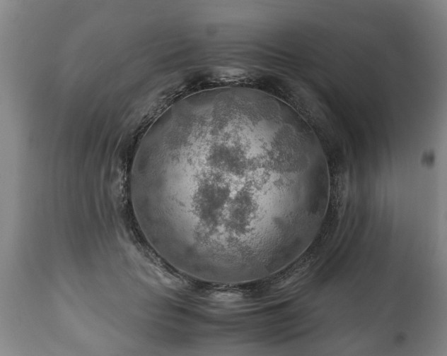 X0000110930653200906251334