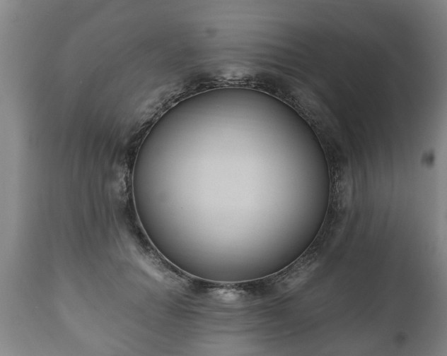 X0000110930654200906251334
