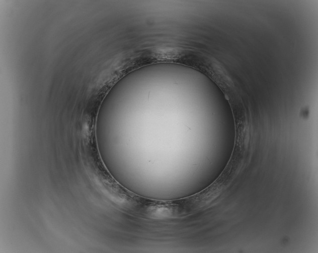 X0000110930655200906251334