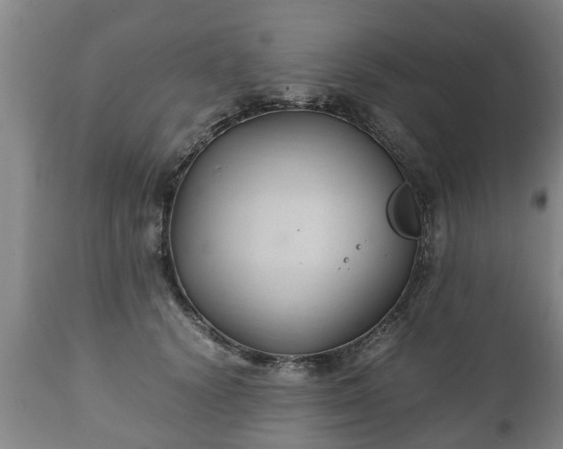 X0000110930656200906251334