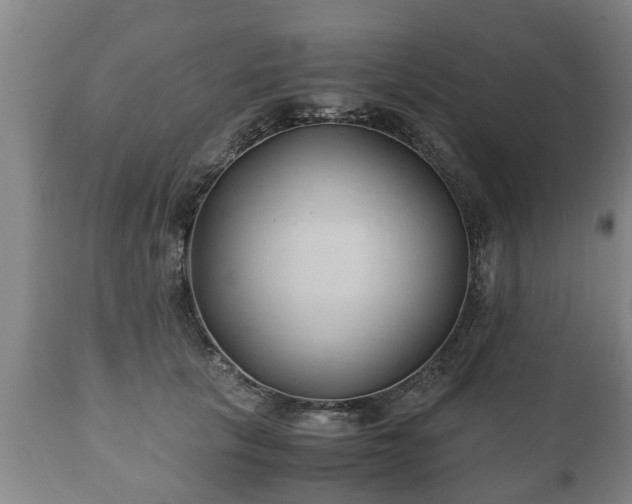 X0000110930657200906251334