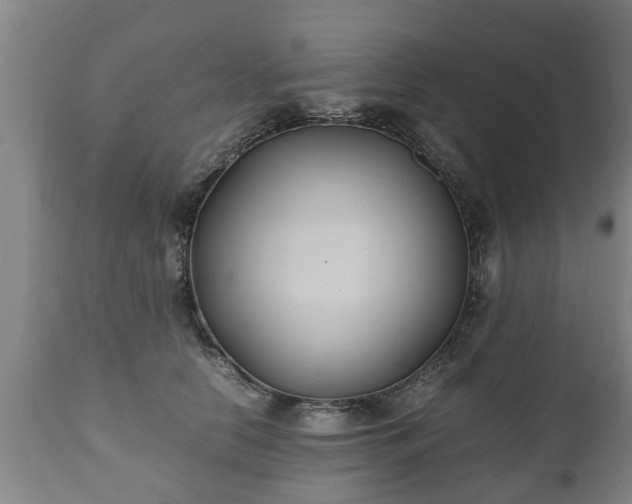 X0000110930658200906251334