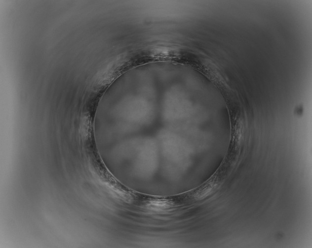 X0000110930659200906251335