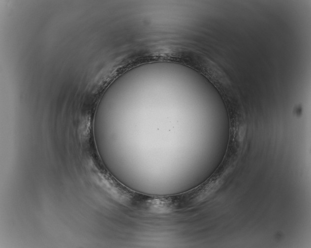 X0000110930660200906251335