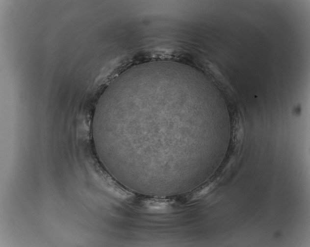 X0000110930661200906251335