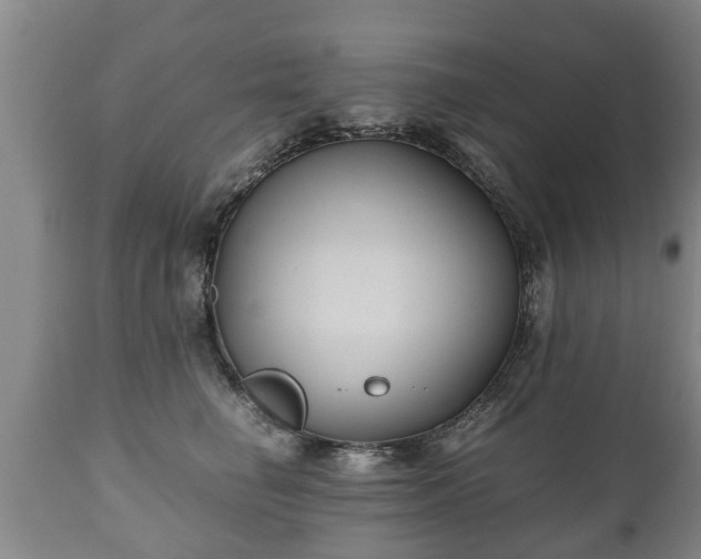 X0000110930662200906251335
