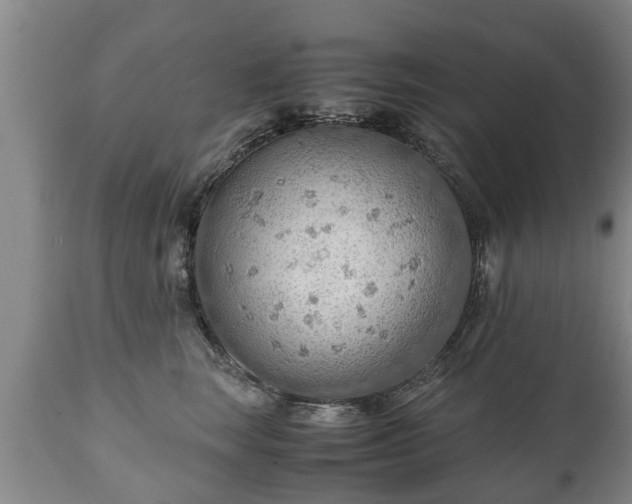 X0000110930663200906251335