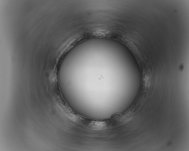 X0000110930665200906251335