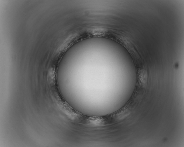 X0000110930667200906251335