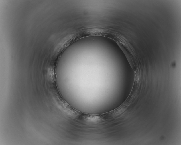 X0000110930669200906251335