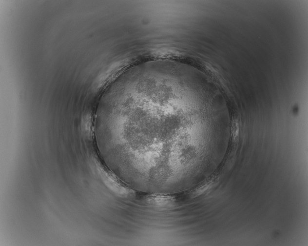 X0000110930670200906251335