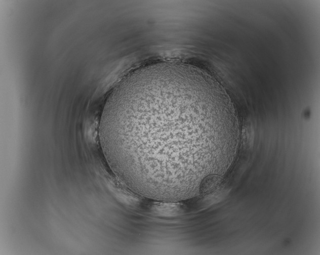 X0000110930671200906251335