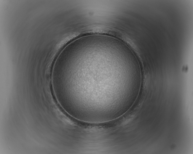 X0000110930673200906251334
