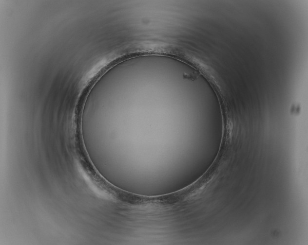 X0000110930674200906251334