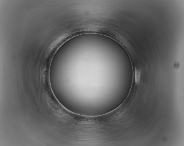 X0000110930675200906251334