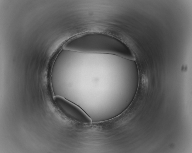 X0000110930676200906251334