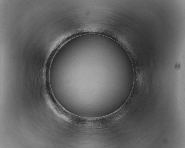 X0000110930678200906251334