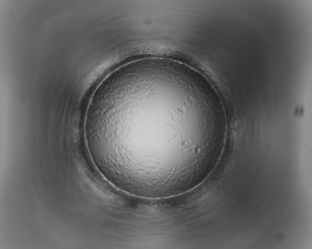 X0000110930679200906251334