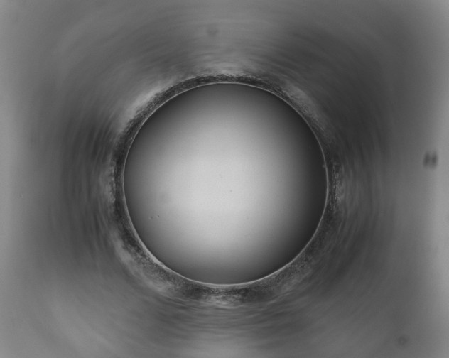 X0000110930680200906251334