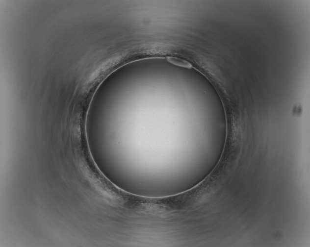 X0000110930681200906251334